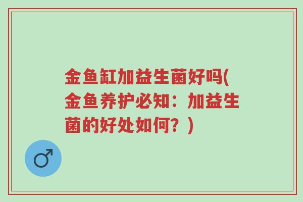 金鱼缸加益生菌好吗(金鱼养护必知:加益生菌的好处如何?)-第1张图片-超越 金鱼缸加益生菌好吗(金鱼养护必知:加益生菌的好处如何?)-第1张图片-超越