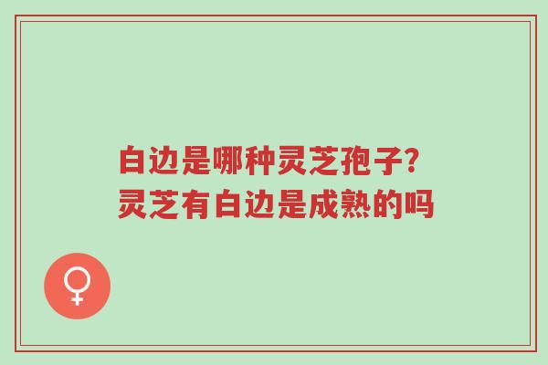 白边是哪种灵芝孢子?灵芝有白边是成熟的吗-第1张图片-超越 白边是哪种灵芝孢子?灵芝有白边是成熟的吗-第1张图片-超越