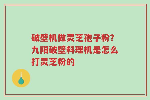 破壁机做灵芝孢子粉?九阳破壁料理机是怎么打灵芝粉的-第1张图片-超越 破壁机做灵芝孢子粉?九阳破壁料理机是怎么打灵芝粉的-第1张图片-超越