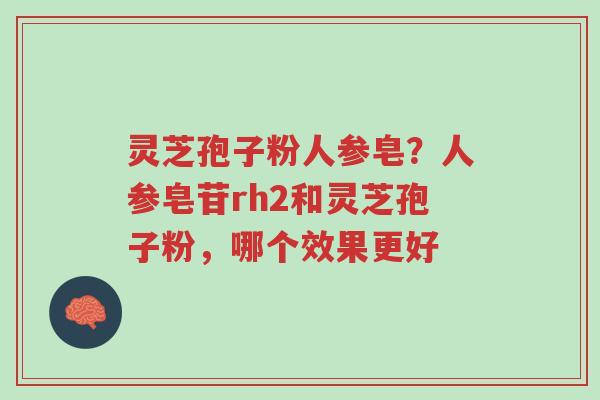 灵芝孢子粉人参皂?人参皂苷rh2和灵芝孢子粉,哪个效果更好-第1张图片-超越 灵芝孢子粉人参皂?人参皂苷rh2和灵芝孢子粉,哪个效果更好-第1张图片-超越