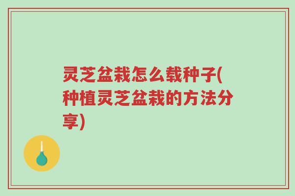 灵芝盆栽怎么载种子(种植灵芝盆栽的方法分享)-第1张图片-超越 灵芝盆栽怎么载种子(种植灵芝盆栽的方法分享)-第1张图片-超越