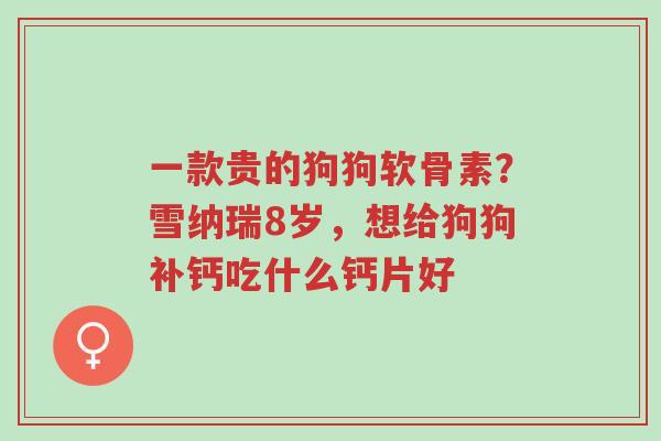 一款贵的狗狗软骨素?雪纳瑞8岁,想给狗狗补钙吃什么钙片好-第1张图片-超越 一款贵的狗狗软骨素?雪纳瑞8岁,想给狗狗补钙吃什么钙片好-第1张图片-超越