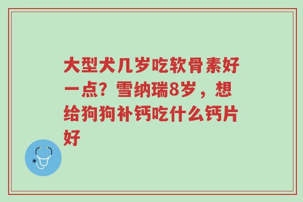 大型犬几岁吃软骨素好一点?雪纳瑞8岁,想给狗狗补钙吃什么钙片好-第1张图片-超越 大型犬几岁吃软骨素好一点?雪纳瑞8岁,想给狗狗补钙吃什么钙片好-第1张图片-超越