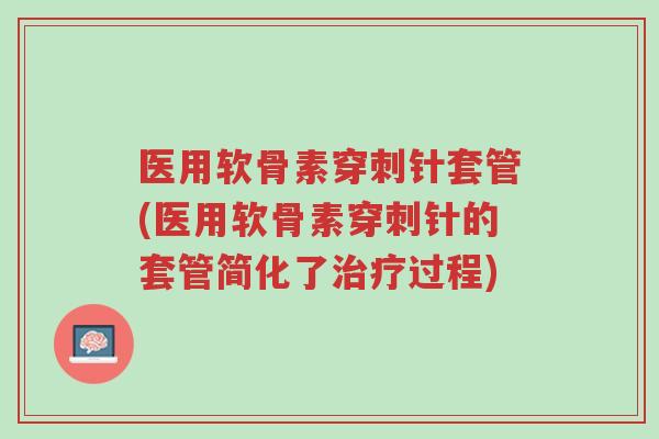 医用软骨素穿刺针套管(医用软骨素穿刺针的套管简化了治疗过程)-第1张图片-超越