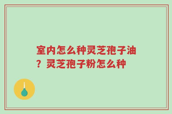 室内怎么种灵芝孢子油?灵芝孢子粉怎么种-第1张图片-超越 室内怎么种灵芝孢子油?灵芝孢子粉怎么种-第1张图片-超越