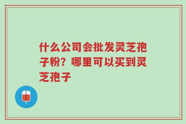 什么公司会批发灵芝孢子粉?哪里可以买到灵芝孢子-第1张图片-超越 什么公司会批发灵芝孢子粉?哪里可以买到灵芝孢子-第1张图片-超越