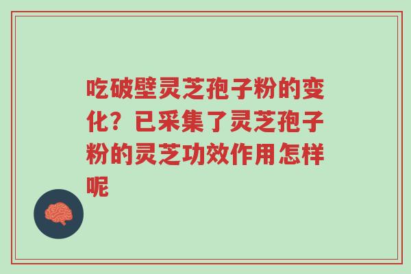 吃破壁灵芝孢子粉的变化?已采集了灵芝孢子粉的灵芝功效作用怎样呢-第1张图片-超越 吃破壁灵芝孢子粉的变化?已采集了灵芝孢子粉的灵芝功效作用怎样呢-第1张图片-超越