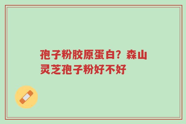 孢子粉胶原蛋白?森山灵芝孢子粉好不好-第1张图片-超越 孢子粉胶原蛋白?森山灵芝孢子粉好不好-第1张图片-超越