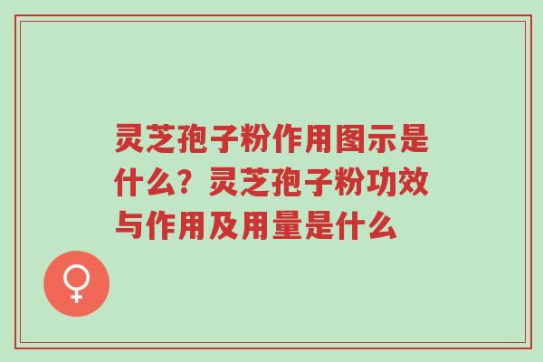 灵芝孢子粉作用图示是什么?灵芝孢子粉功效与作用及用量是什么-第1张图片-超越 灵芝孢子粉作用图示是什么?灵芝孢子粉功效与作用及用量是什么-第1张图片-超越