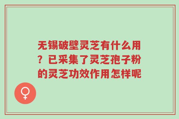无锡破壁灵芝有什么用?已采集了灵芝孢子粉的灵芝功效作用怎样呢-第1张图片-超越 无锡破壁灵芝有什么用?已采集了灵芝孢子粉的灵芝功效作用怎样呢-第1张图片-超越