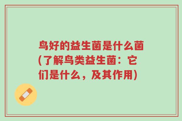 鸟好的益生菌是什么菌(了解鸟类益生菌:它们是什么,及其作用)-第1张图片-超越 鸟好的益生菌是什么菌(了解鸟类益生菌:它们是什么,及其作用)-第1张图片-超越