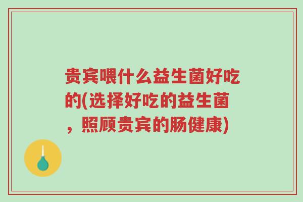 贵宾喂什么益生菌好吃的(选择好吃的益生菌,照顾贵宾的肠健康)-第1张图片-超越 贵宾喂什么益生菌好吃的(选择好吃的益生菌,照顾贵宾的肠健康)-第1张图片-超越