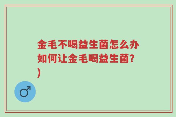 金毛不喝益生菌怎么办如何让金毛喝益生菌?)-第1张图片-超越 金毛不喝益生菌怎么办如何让金毛喝益生菌?)-第1张图片-超越