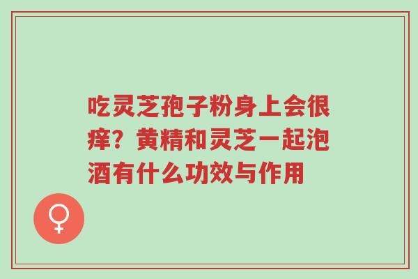 吃灵芝孢子粉身上会很痒?黄精和灵芝一起泡酒有什么功效与作用-第1张图片-超越 吃灵芝孢子粉身上会很痒?黄精和灵芝一起泡酒有什么功效与作用-第1张图片-超越