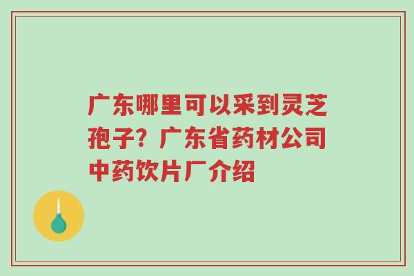 广东哪里可以采到灵芝孢子?广东省药材公司中药饮片厂介绍-第1张图片-超越 广东哪里可以采到灵芝孢子?广东省药材公司中药饮片厂介绍-第1张图片-超越