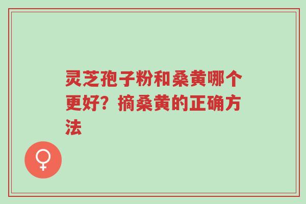 灵芝孢子粉和桑黄哪个更好？摘桑黄的正确方法-第1张图片-超越