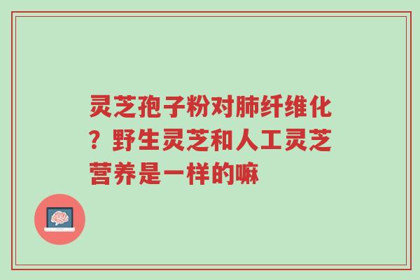 灵芝孢子粉对肺纤维化?野生灵芝和人工灵芝营养是一样的嘛-第1张图片-超越 灵芝孢子粉对肺纤维化?野生灵芝和人工灵芝营养是一样的嘛-第1张图片-超越