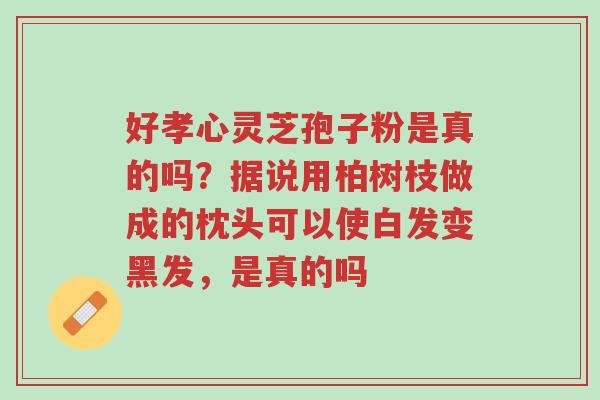 好孝心灵芝孢子粉是真的吗？据说用柏树枝做成的枕头可以使白发变黑发，是真的吗-第1张图片-超越