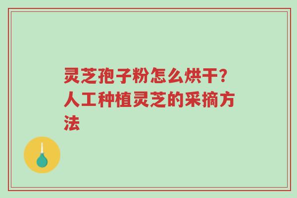 灵芝孢子粉怎么烘干?人工种植灵芝的采摘方法-第1张图片-超越 灵芝孢子粉怎么烘干?人工种植灵芝的采摘方法-第1张图片-超越