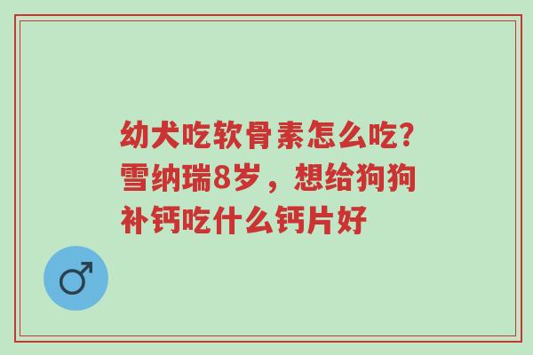 幼犬吃软骨素怎么吃?雪纳瑞8岁,想给狗狗补钙吃什么钙片好-第1张图片-超越 幼犬吃软骨素怎么吃?雪纳瑞8岁,想给狗狗补钙吃什么钙片好-第1张图片-超越