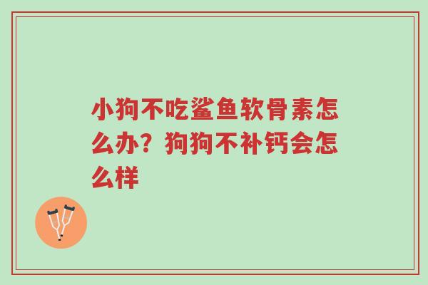 小狗不吃鲨鱼软骨素怎么办?狗狗不补钙会怎么样-第1张图片-超越 小狗不吃鲨鱼软骨素怎么办?狗狗不补钙会怎么样-第1张图片-超越