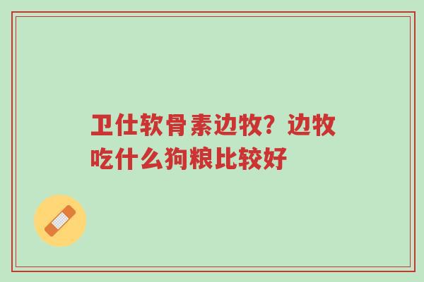 卫仕软骨素边牧?边牧吃什么狗粮比较好-第1张图片-超越 卫仕软骨素边牧?边牧吃什么狗粮比较好-第1张图片-超越