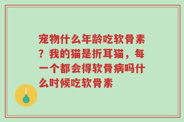 宠物什么年龄吃软骨素?我的猫是折耳猫,每一个都会得软骨病吗什么时候吃软骨素-第1张图片-超越 宠物什么年龄吃软骨素?我的猫是折耳猫,每一个都会得软骨病吗什么时候吃软骨素-第1张图片-超越