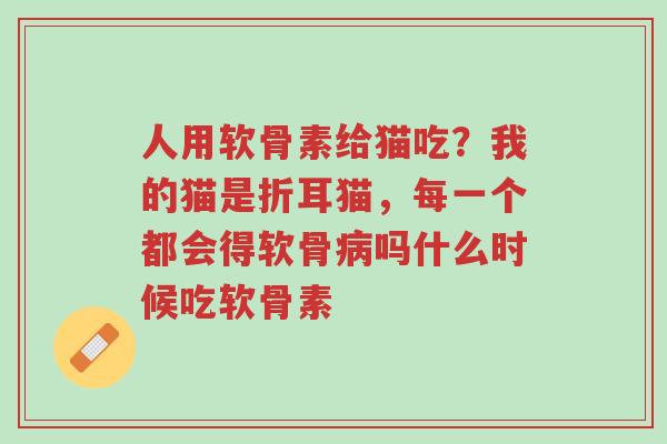 人用软骨素给猫吃?我的猫是折耳猫,每一个都会得软骨病吗什么时候吃软骨素-第1张图片-超越 人用软骨素给猫吃?我的猫是折耳猫,每一个都会得软骨病吗什么时候吃软骨素-第1张图片-超越