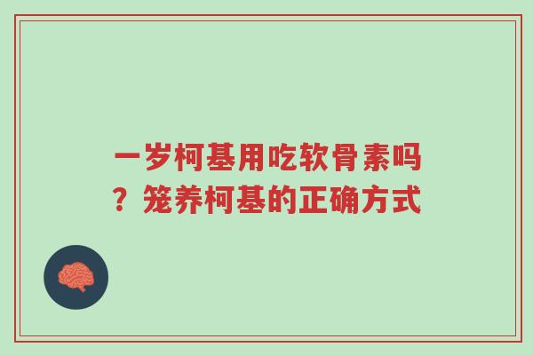 一岁柯基用吃软骨素吗?笼养柯基的正确方式-第1张图片-超越 一岁柯基用吃软骨素吗?笼养柯基的正确方式-第1张图片-超越