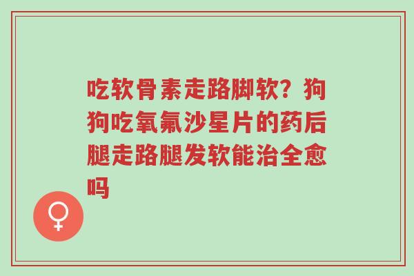 吃软骨素走路脚软?狗狗吃氧氟沙星片的药后腿走路腿发软能治全愈吗-第1张图片-超越 吃软骨素走路脚软?狗狗吃氧氟沙星片的药后腿走路腿发软能治全愈吗-第1张图片-超越