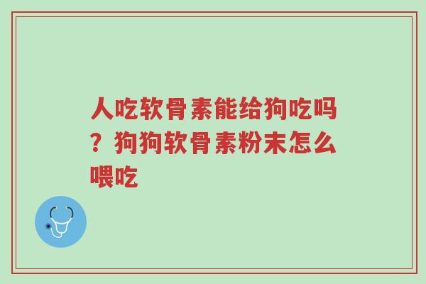 人吃软骨素能给狗吃吗?狗狗软骨素粉末怎么喂吃-第1张图片-超越 人吃软骨素能给狗吃吗?狗狗软骨素粉末怎么喂吃-第1张图片-超越
