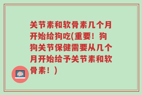 关节素和软骨素几个月开始给狗吃(重要!狗狗关节保健需要从几个月开始给予关节素和软骨素!)-第1张图片-超越 关节素和软骨素几个月开始给狗吃(重要!狗狗关节保健需要从几个月开始给予关节素和软骨素!)-第1张图片-超越