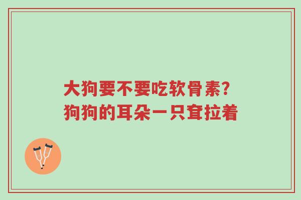 大狗要不要吃软骨素?狗狗的耳朵一只耷拉着-第1张图片-超越 大狗要不要吃软骨素?狗狗的耳朵一只耷拉着-第1张图片-超越