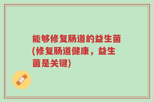能够修复肠道的益生菌(修复肠道健康,益生菌是关键)-第1张图片-超越 能够修复肠道的益生菌(修复肠道健康,益生菌是关键)-第1张图片-超越