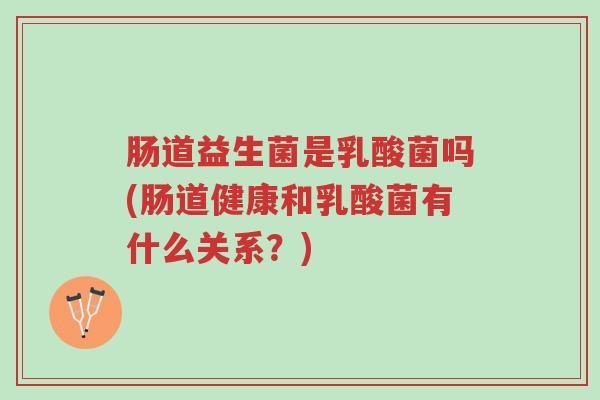 肠道益生菌是乳酸菌吗(肠道健康和乳酸菌有什么关系？)-第1张图片-超越