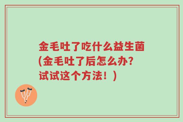 金毛吐了吃什么益生菌(金毛吐了后怎么办?试试这个方法!)-第1张图片-超越 金毛吐了吃什么益生菌(金毛吐了后怎么办?试试这个方法!)-第1张图片-超越