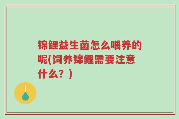 锦鲤益生菌怎么喂养的呢(饲养锦鲤需要注意什么?)-第1张图片-超越 锦鲤益生菌怎么喂养的呢(饲养锦鲤需要注意什么?)-第1张图片-超越