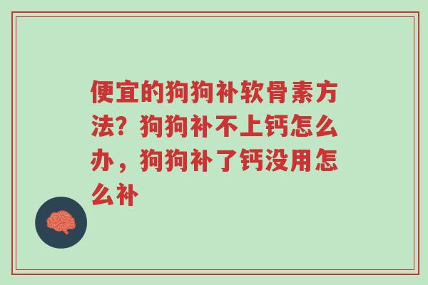 便宜的狗狗补软骨素方法？狗狗补不上钙怎么办，狗狗补了钙没用怎么补-第1张图片-超越