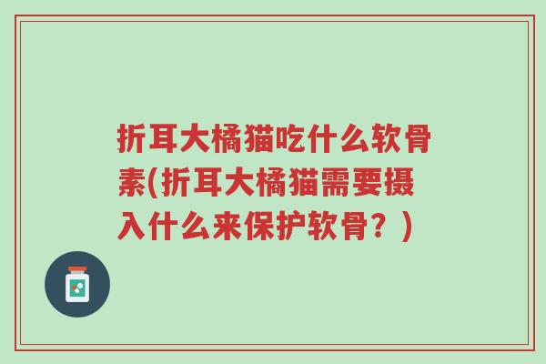 折耳大橘猫吃什么软骨素(折耳大橘猫需要摄入什么来保护软骨?)-第1张图片-超越 折耳大橘猫吃什么软骨素(折耳大橘猫需要摄入什么来保护软骨?)-第1张图片-超越