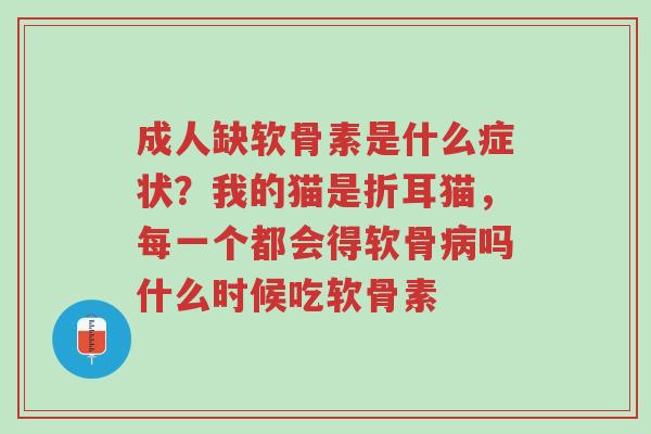 成人缺软骨素是什么症状?我的猫是折耳猫,每一个都会得软骨病吗什么时候吃软骨素-第1张图片-超越 成人缺软骨素是什么症状?我的猫是折耳猫,每一个都会得软骨病吗什么时候吃软骨素-第1张图片-超越