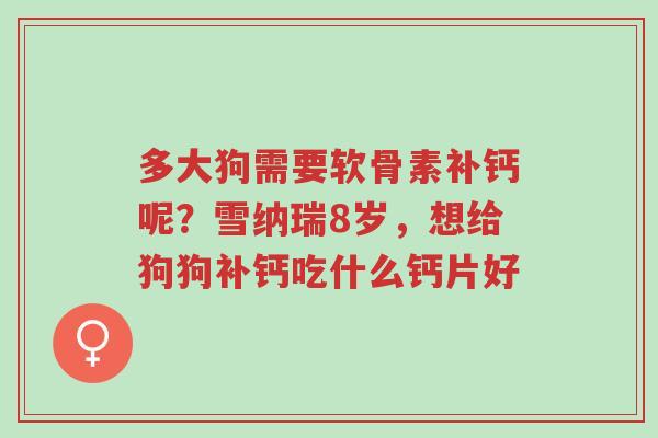 多大狗需要软骨素补钙呢？雪纳瑞8岁，想给狗狗补钙吃什么钙片好-第1张图片-超越