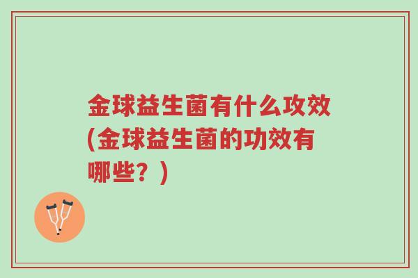 金球益生菌有什么攻效(金球益生菌的功效有哪些?)-第1张图片-超越 金球益生菌有什么攻效(金球益生菌的功效有哪些?)-第1张图片-超越