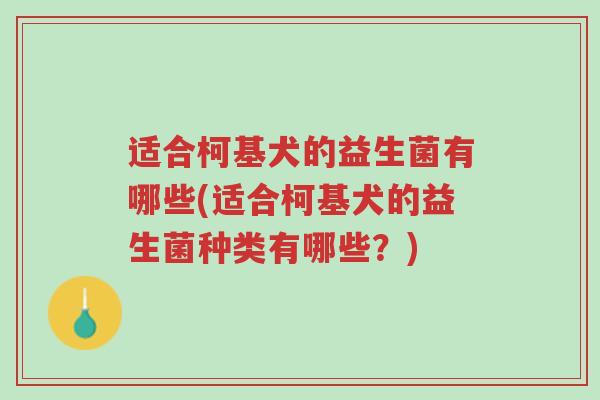 适合柯基犬的益生菌有哪些(适合柯基犬的益生菌种类有哪些?)-第1张图片-超越 适合柯基犬的益生菌有哪些(适合柯基犬的益生菌种类有哪些?)-第1张图片-超越