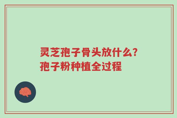 灵芝孢子骨头放什么?孢子粉种植全过程-第1张图片-超越 灵芝孢子骨头放什么?孢子粉种植全过程-第1张图片-超越