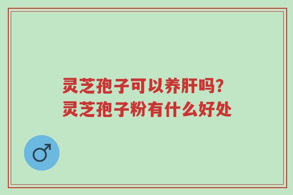 灵芝孢子可以养肝吗?灵芝孢子粉有什么好处-第1张图片-超越 灵芝孢子可以养肝吗?灵芝孢子粉有什么好处-第1张图片-超越