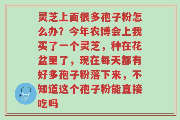 灵芝上面很多孢子粉怎么办？今年农博会上我买了一个灵芝，种在花盆里了，现在每天都有好多孢子粉落下来，不知道这个孢子粉能直接吃吗-第1张图片-超越