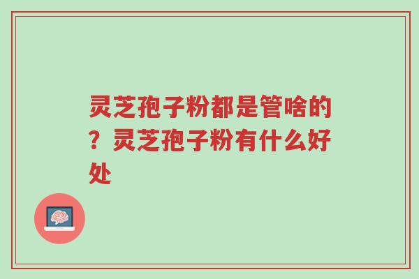 灵芝孢子粉都是管啥的?灵芝孢子粉有什么好处-第1张图片-超越 灵芝孢子粉都是管啥的?灵芝孢子粉有什么好处-第1张图片-超越