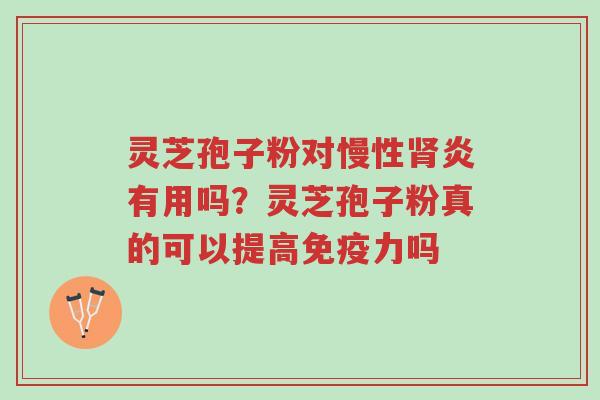灵芝孢子粉对慢性肾炎有用吗？灵芝孢子粉真的可以提高免疫力吗-第1张图片-超越