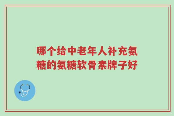 哪个给中老年人补充氨糖的氨糖软骨素牌子好-第1张图片-超越 哪个给中老年人补充氨糖的氨糖软骨素牌子好-第1张图片-超越
