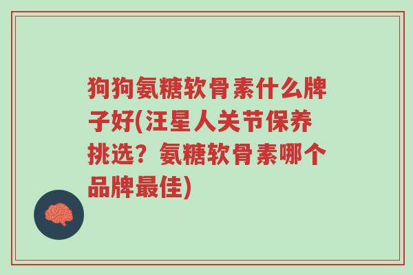 狗狗氨糖软骨素什么牌子好(汪星人关节保养挑选?氨糖软骨素哪个品牌最佳)-第1张图片-超越 狗狗氨糖软骨素什么牌子好(汪星人关节保养挑选?氨糖软骨素哪个品牌最佳)-第1张图片-超越